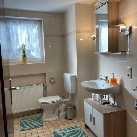 Апартаменты In Binger Stadtmitte Бинген-на-Рейне